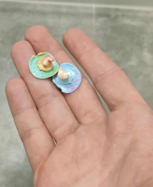 Bestand:Gevonden sorteerhoeden.jpg